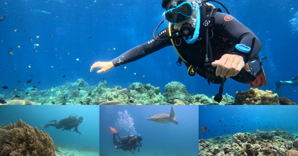 菲律賓宿霧薄荷島潛水考照心得｜PADI開放水域Open Water水肺潛水證照